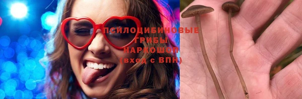 ГАЛЛЮЦИНОГЕННЫЕ ГРИБЫ Бородино