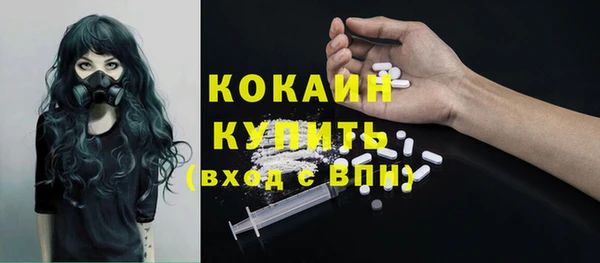 ГАЛЛЮЦИНОГЕННЫЕ ГРИБЫ Бородино
