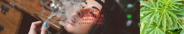 мяу мяу кристалл Богданович