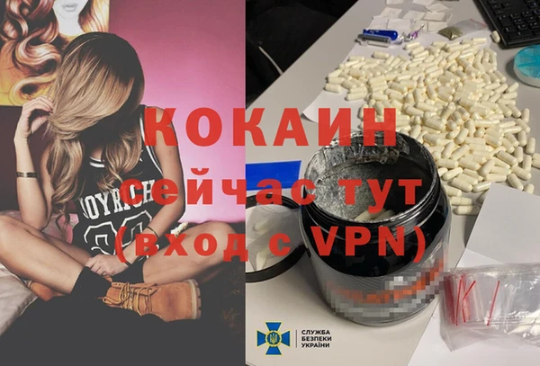 ГАЛЛЮЦИНОГЕННЫЕ ГРИБЫ Бородино