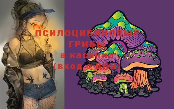 ГАЛЛЮЦИНОГЕННЫЕ ГРИБЫ Бородино