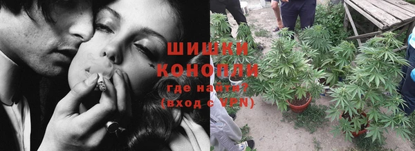 ГАЛЛЮЦИНОГЕННЫЕ ГРИБЫ Бородино