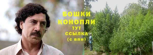 мяу мяу кристалл Богданович