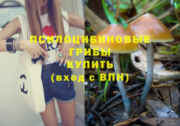 ALPHA PVP Богородск